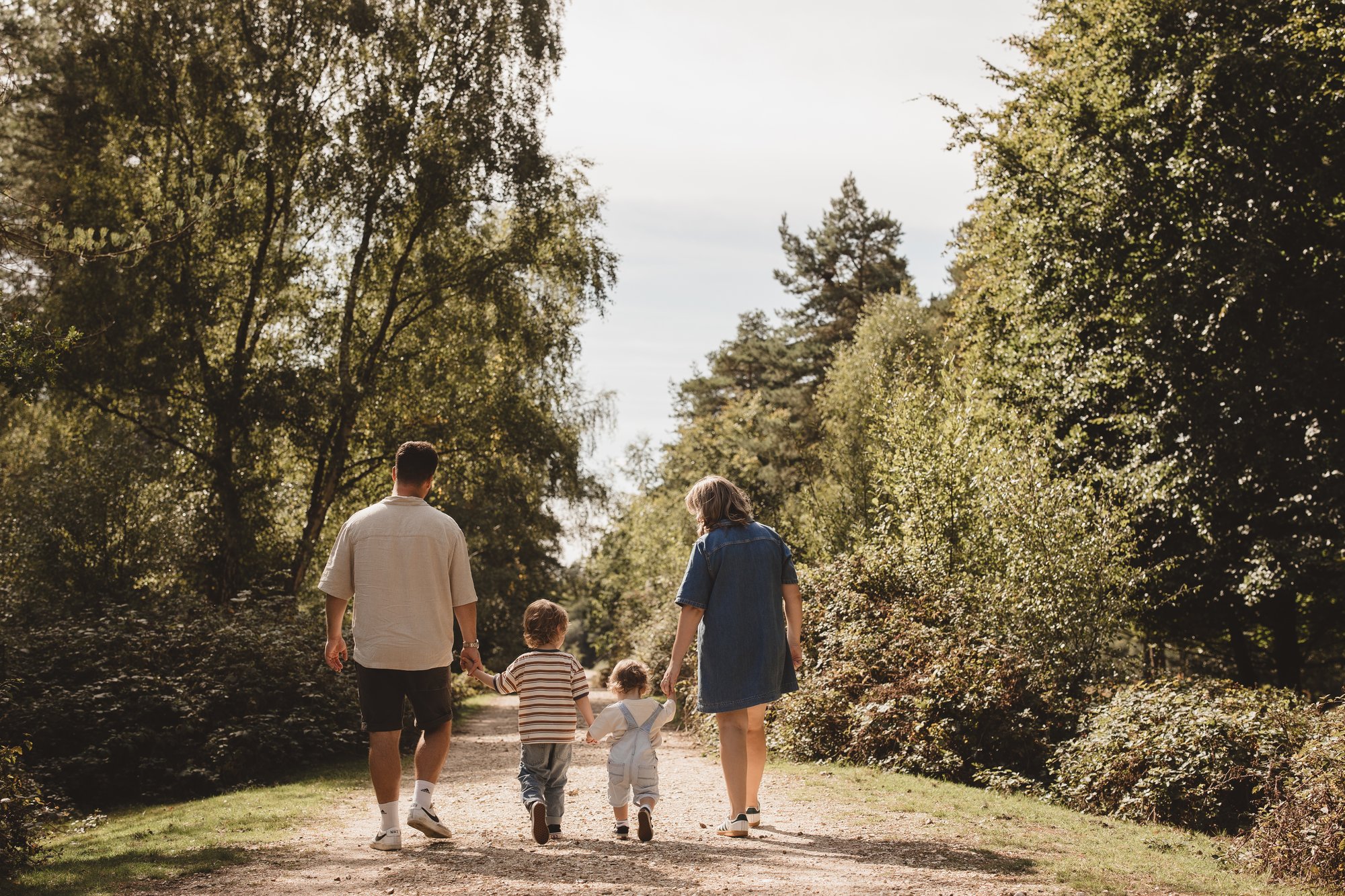 Family of four walking away down a sunlit woodland path, holding hands
